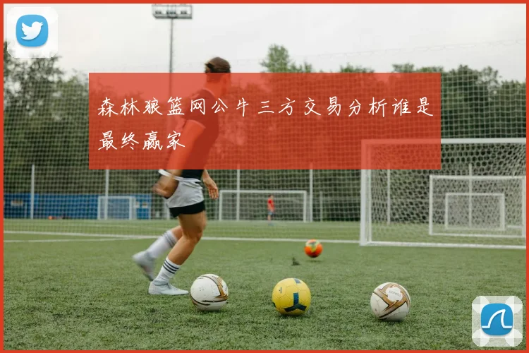 森林狼篮网公牛三方交易分析谁是最终赢家