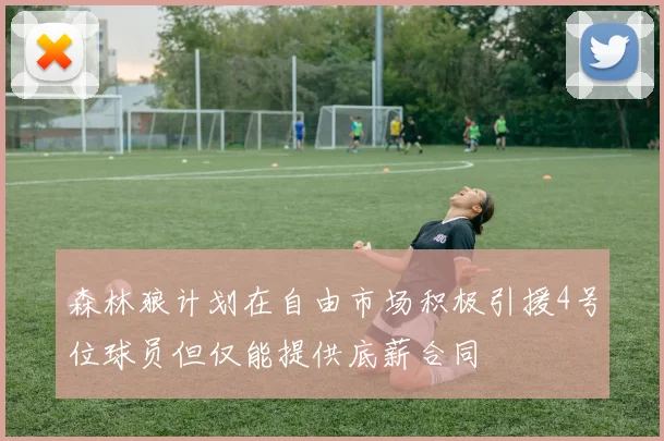 森林狼计划在自由市场积极引援4号位球员但仅能提供底薪合同